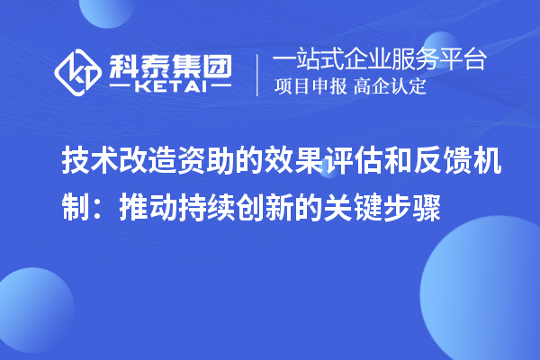 技術(shù)改造資助的效果評估和反饋機制：推動持續(xù)創(chuàng)新的關(guān)鍵步驟