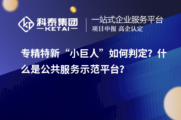 專精特新“小巨人”如何判定？什么是公共服務(wù)示范平臺？