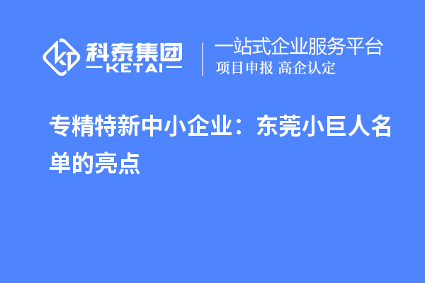 專精特新中小企業(yè)：東莞小巨人名單的亮點(diǎn)