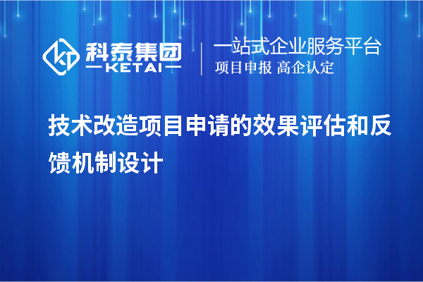 技術(shù)改造項目申請的成果評估與反饋機(jī)制探析		 		