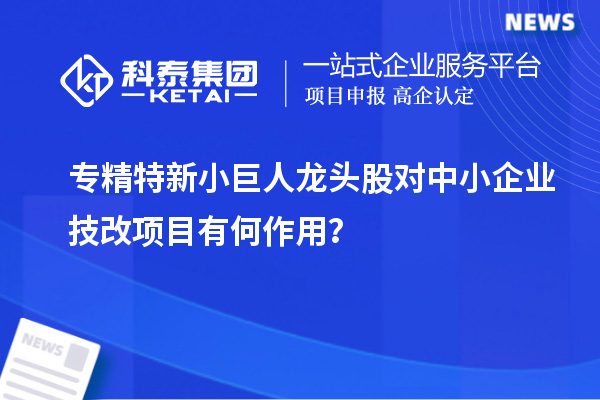 專(zhuān)精特新小巨人龍頭股對中小企業(yè)技改項目有何作用？