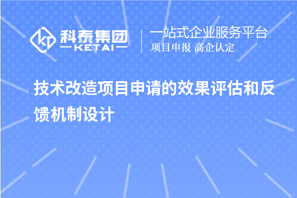 技術(shù)改造項目申請的效果評估和反饋機(jī)制設(shè)計