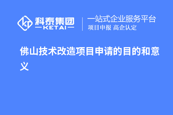 佛山技術(shù)改造項目申請的目的和意義