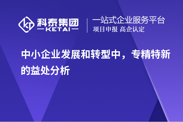 中小企業(yè)發(fā)展和轉(zhuǎn)型中，專精特新的益處分析		 		