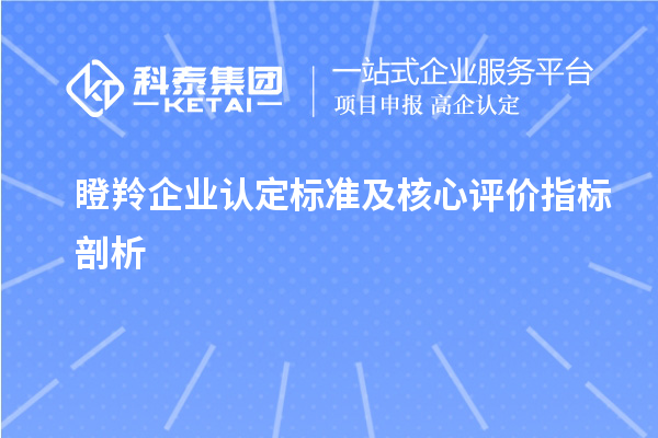 瞪羚企業(yè)認定標準及核心評價(jià)指標剖析		 		