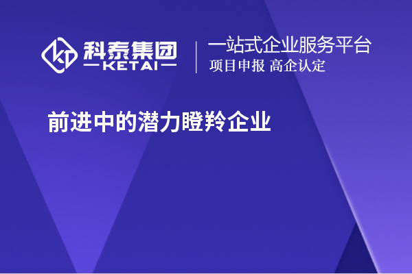 前進中的潛力瞪羚企業(yè)