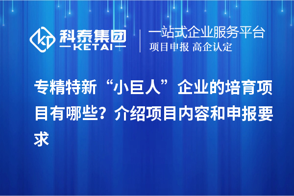 專精特新“小巨人”企業(yè)的培育項目有哪些？介紹項目內(nèi)容和申報要求