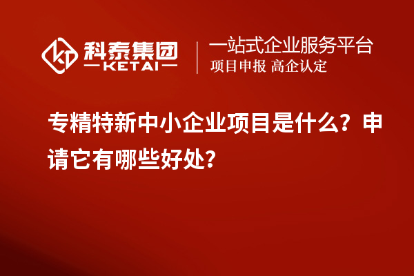 專精特新中小企業(yè)項(xiàng)目是什么？申請(qǐng)它有哪些好處？