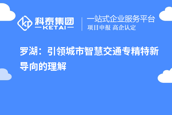 羅湖：引領(lǐng)城市智慧交通專(zhuān)精特新導向的理解