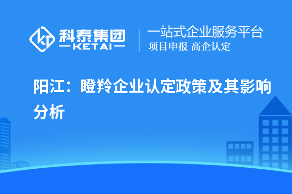 陽江：瞪羚企業(yè)認定政策及其影響分析