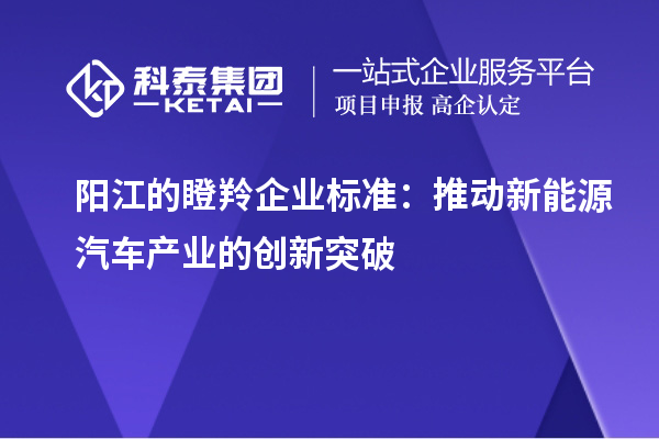 陽江的瞪羚企業(yè)標準：推動新能源汽車產(chǎn)業(yè)的創(chuàng)新突破