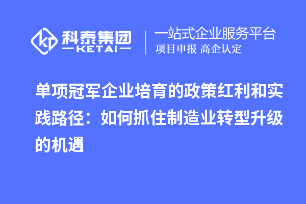 單項冠軍企業(yè)培育的政策紅利和實(shí)踐路徑：如何抓住制造業(yè)轉型升級的機遇