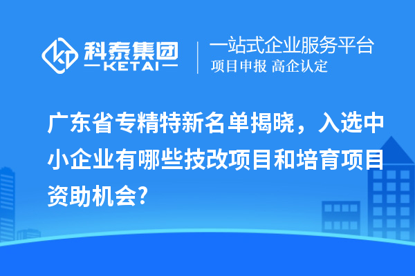 廣東省專(zhuān)精特新名單揭曉，入選中小企業(yè)有哪些技改項目和培育項目資助機會(huì )?