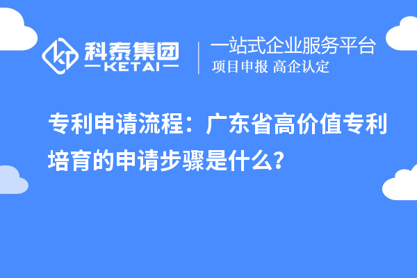 專利申請(qǐng)流程：廣東省高價(jià)值專利培育的申請(qǐng)步驟是什么？