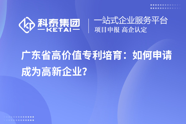 廣東省高價(jià)值專(zhuān)利培育：如何申請成為高新企業(yè)？