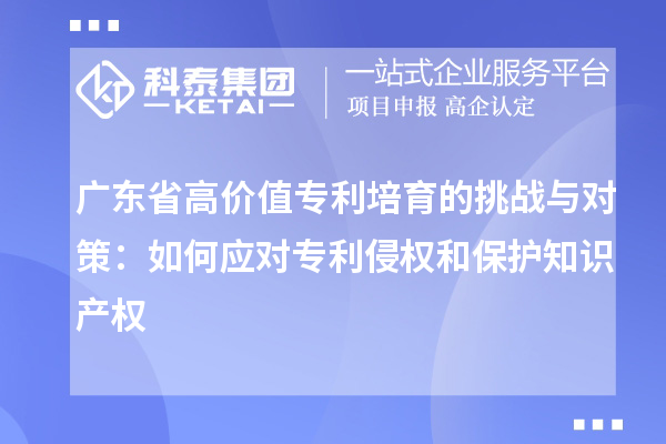 廣東省高價值專利培育的挑戰(zhàn)與對策：如何應(yīng)對專利侵權(quán)和保護(hù)知識產(chǎn)權(quán)