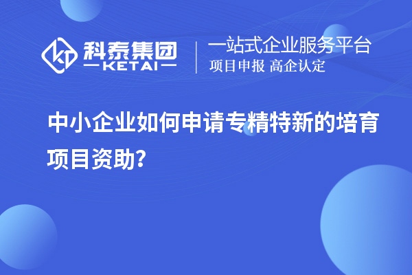 中小企業(yè)如何申請專(zhuān)精特新的培育項目資助？