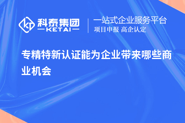 專精特新認證能為企業(yè)帶來哪些商業(yè)機會