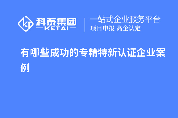 有哪些成功的專精特新認證企業(yè)案例