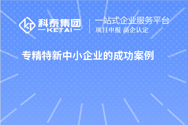 專精特新中小企業(yè)的成功案例