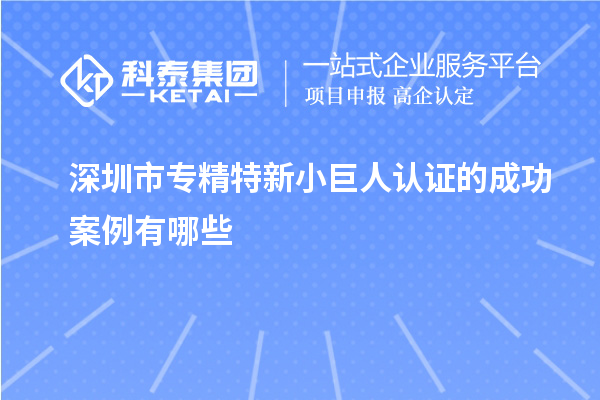 深圳市專精特新小巨人認(rèn)證的成功案例有哪些