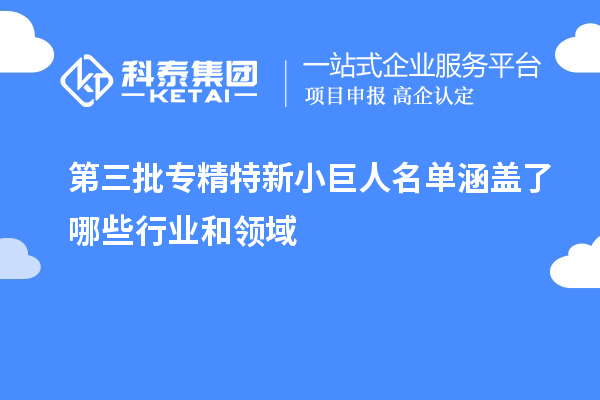 第三批專精特新小巨人名單涵蓋了哪些行業(yè)和領(lǐng)域