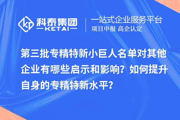 第三批專精特新小巨人名單對其他企業(yè)有哪些啟示和影響？如何提升自身的專精特新水平？