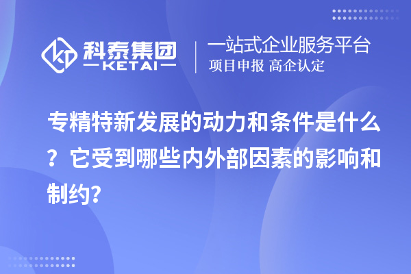 專精特新發(fā)展的動力和條件是什么？它受到哪些內(nèi)外部因素的影響和制約？