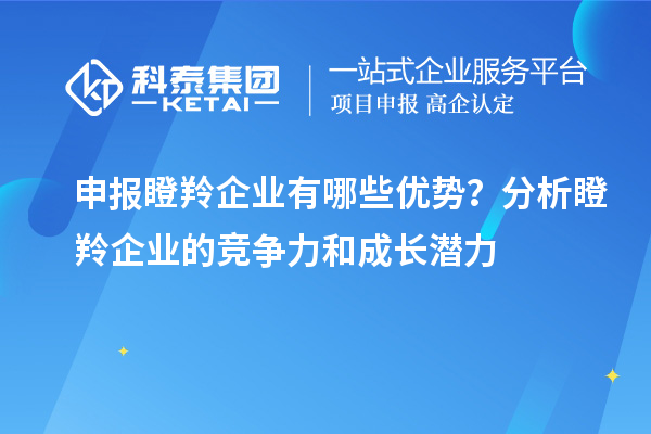 申報瞪羚企業(yè)有哪些優(yōu)勢？分析瞪羚企業(yè)的競爭力和成長潛力