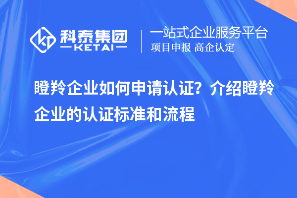 瞪羚企業(yè)如何申請認證？介紹瞪羚企業(yè)的認證標準和流程