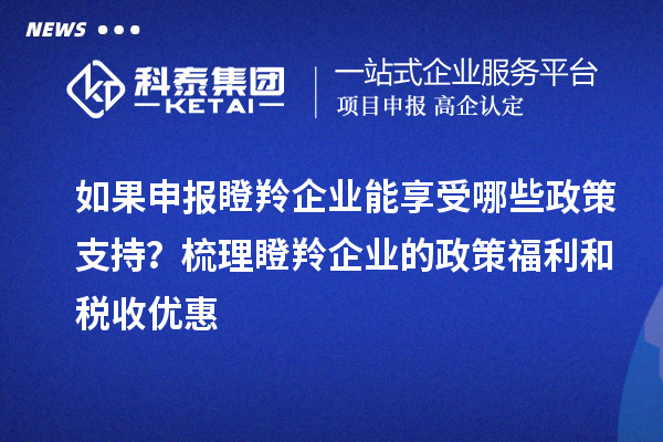 如果申報瞪羚企業(yè)能享受哪些政策支持？梳理瞪羚企業(yè)的政策福利和稅收優(yōu)惠