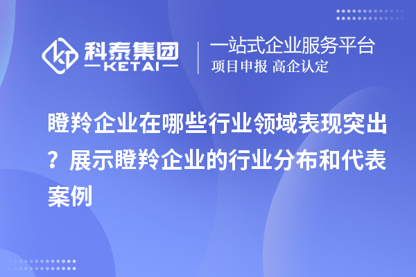 瞪羚企業(yè)在哪些行業(yè)領(lǐng)域表現突出？展示瞪羚企業(yè)的行業(yè)分布和代表案例