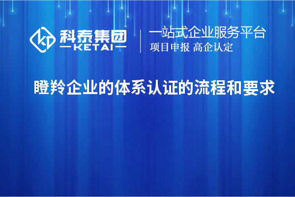 瞪羚企業(yè)的體系認證的流程和要求