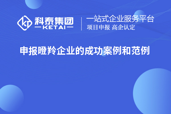 申報瞪羚企業(yè)的成功案例和范例