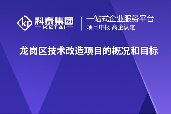 龍崗區(qū)技術改造項目的概況和目標