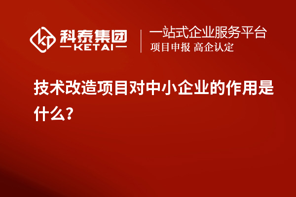 技術(shù)改造項目對中小企業(yè)的作用是什么？