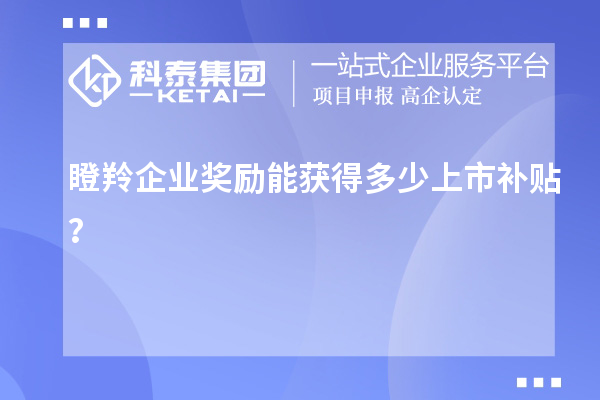 瞪羚企業(yè)獎勵能獲得多少上市補貼？