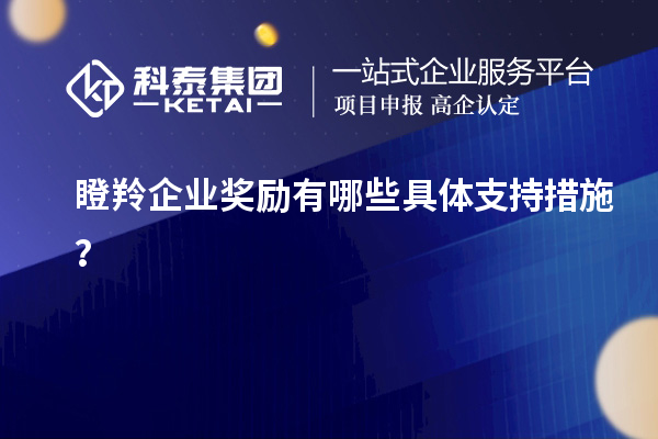 瞪羚企業(yè)獎勵有哪些具體支持措施？