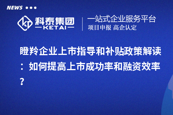 瞪羚企業(yè)上市指導(dǎo)和補(bǔ)貼政策解讀：如何提高上市成功率和融資效率？