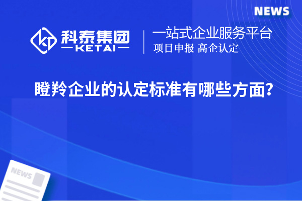 瞪羚企業(yè)的認定標準有哪些方面？