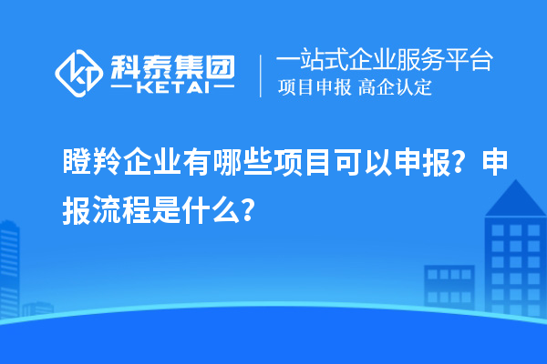 瞪羚企業(yè)有哪些項(xiàng)目可以申報(bào)？申報(bào)流程是什么？