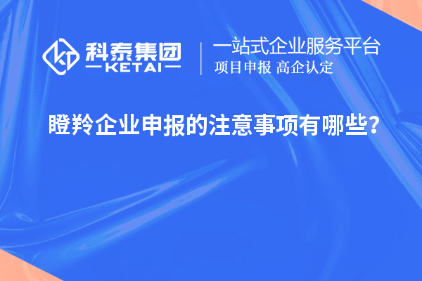 瞪羚企業(yè)申報的注意事項有哪些？