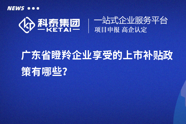 廣東省瞪羚企業(yè)享受的上市補貼政策有哪些？