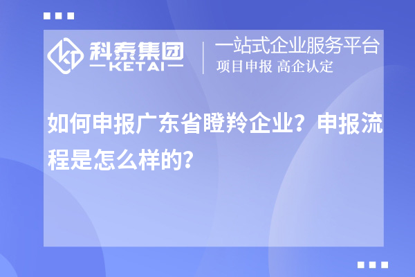 如何申報廣東省瞪羚企業(yè)？申報流程是怎么樣的？