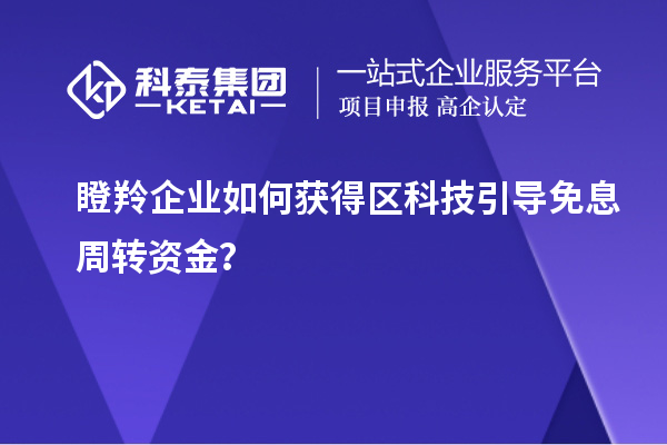 瞪羚企業(yè)如何獲得區科技引導免息周轉資金？