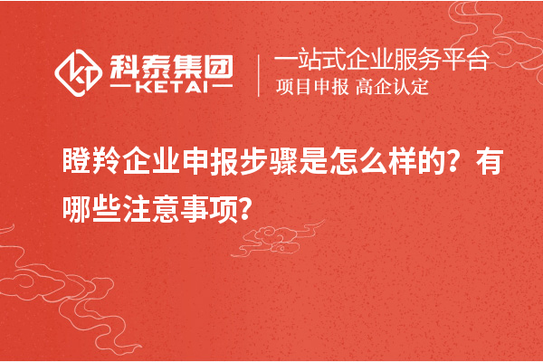 瞪羚企業(yè)申報步驟是怎么樣的？有哪些注意事項？