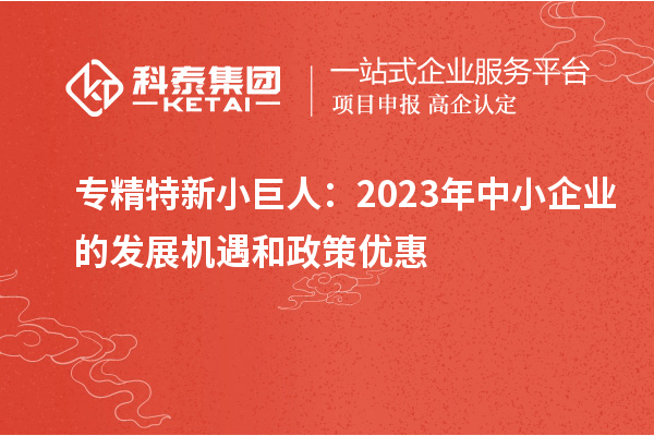 專(zhuān)精特新小巨人：2023年中小企業(yè)的發(fā)展機(jī)遇和政策優(yōu)惠