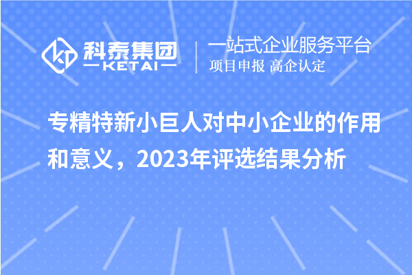 專精特新小巨人對中小企業(yè)的作用和意義，2023年評選結果分析