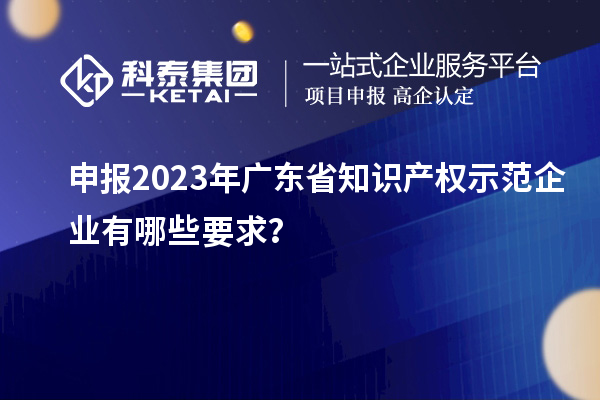 申報2023年廣東省知識產(chǎn)權示范企業(yè)有哪些要求？