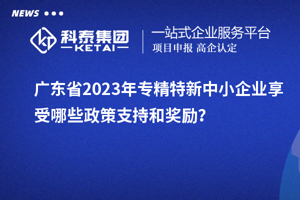 廣東省2023年專精特新中小企業(yè)享受哪些政策支持和獎勵？